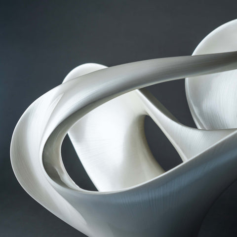 Curvilinear Sculpture – Line White on Deep Black Base